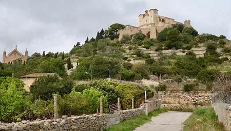 Traslados minibus en Mallorca
