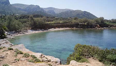 Traslados minibus Mallorca