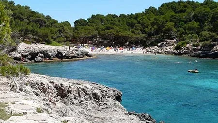 Traslados minibus en Mallorca