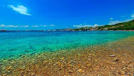 Minibus transfers in Majorca